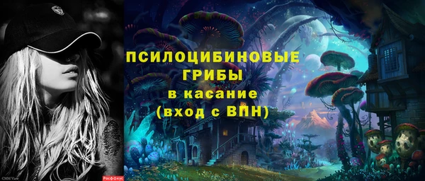 гашик Абаза