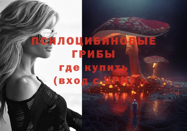 гашик Абаза