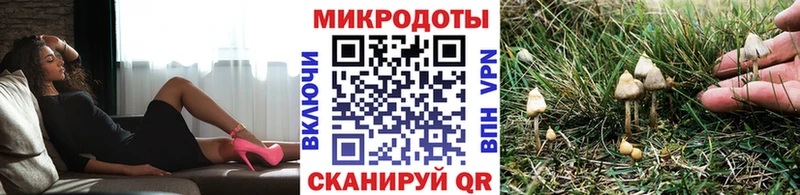 MEGA ТОР  Новочеркасск  Галлюциногенные грибы Psilocybine cubensis 